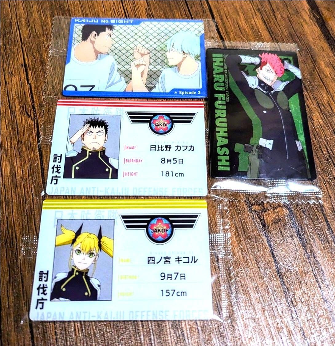 ハイキュー!! クリアファイル 「FLY HIGH！！」 アニメイト特典 岩泉